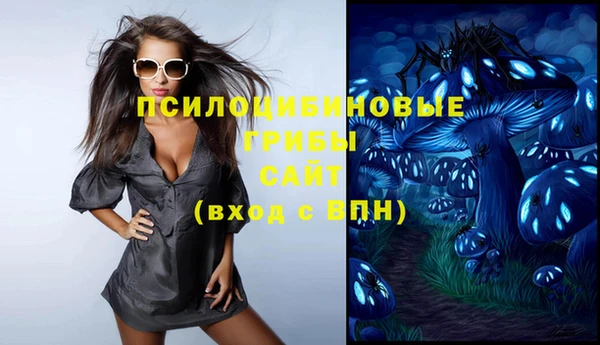 ГАЛЛЮЦИНОГЕННЫЕ ГРИБЫ Аркадак