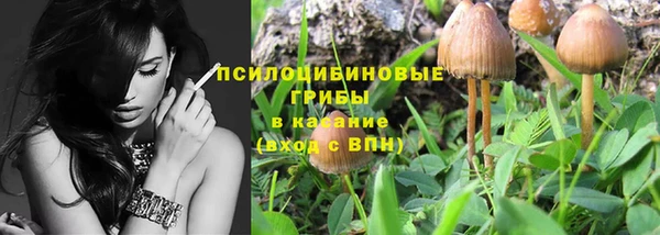 ГАЛЛЮЦИНОГЕННЫЕ ГРИБЫ Аркадак