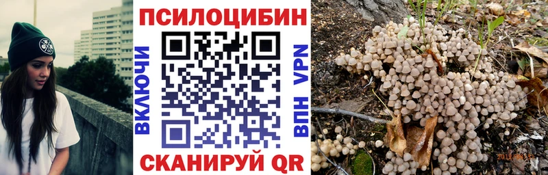 Псилоцибиновые грибы Cubensis  купить  цена  Бодайбо 